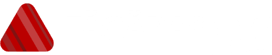 FĂGĂRAȘ L!VE